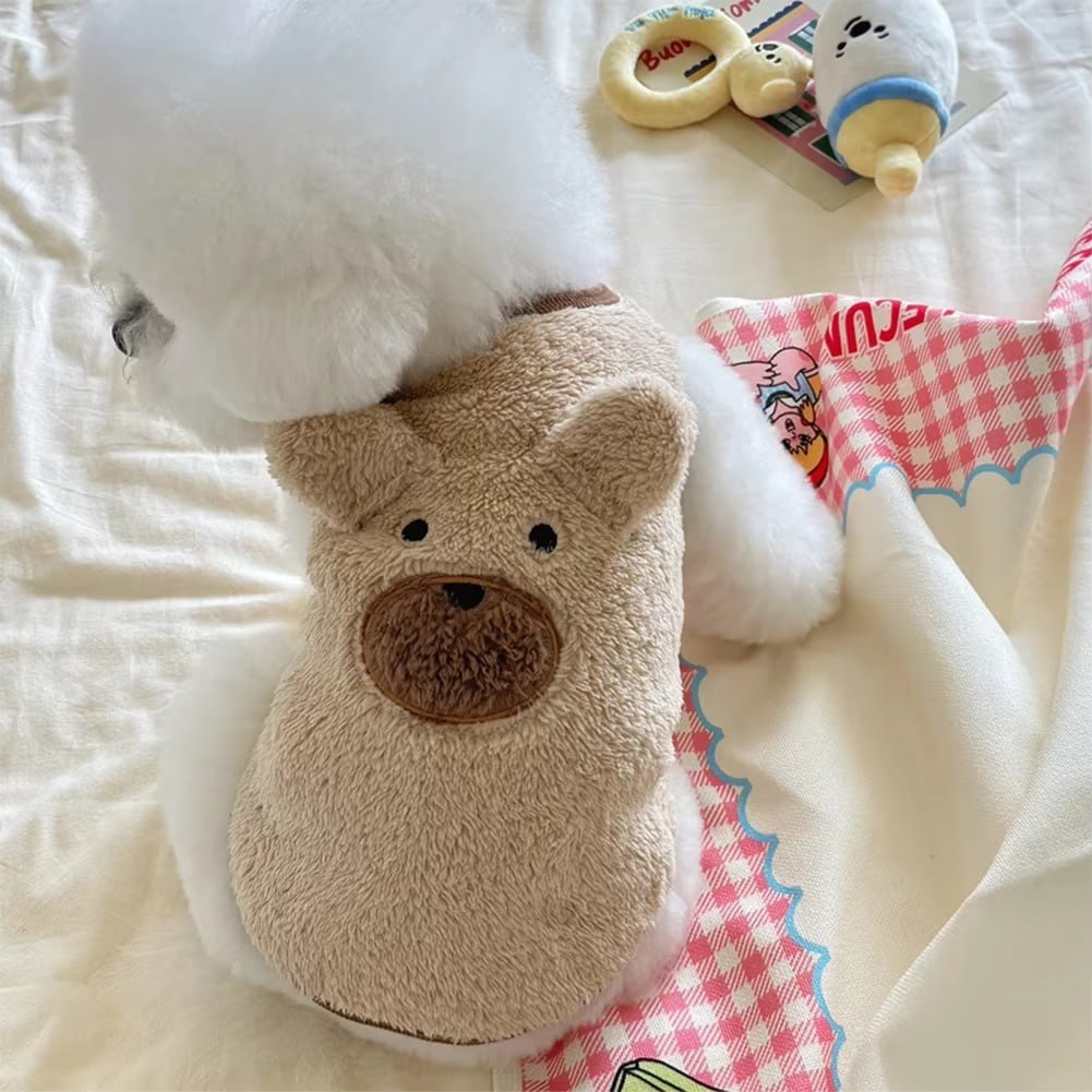 Bichon blanc portant un pull chien marron motif ours, vu de dos