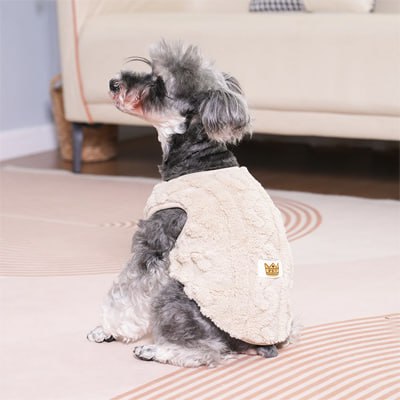 Chien Schnauzer portant un pull pour chien beige avec étiquette logo couronne "PET".