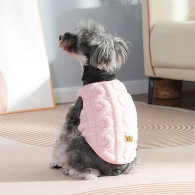 Chien Schnauzer portant un pull pour chien rose à motif torsadé et logo couronne "PET".