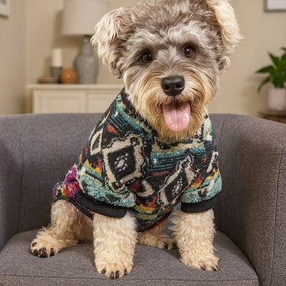 Schnauzer assis dans un fauteuil gris portant un pull pour chien à motifs géométriques colorés.