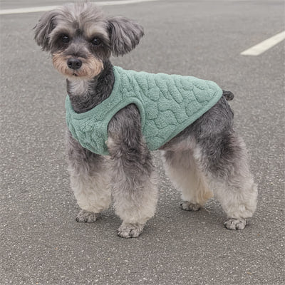 Chien Schnauzer debout sur le bitume portant un pull pour chien vert en polaire.