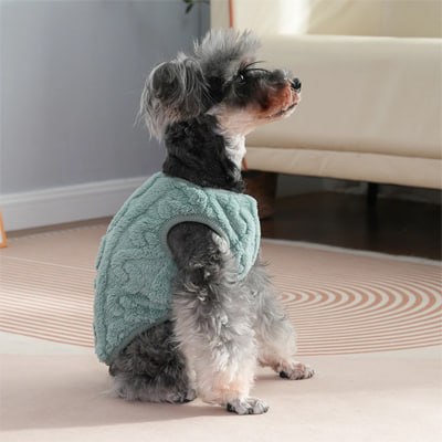 Chien Schnauzer portant un pull pour chien vert en polaire à motif torsadé.