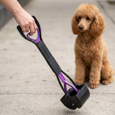 Ramasse crotte chien noir et violet sur un trottoir à côté d'un Caniche abricot assis.