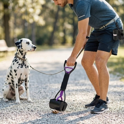 Homme utilisant un ramasse crotte chien violet sur un chemin de gravier avec un Dalmatien.