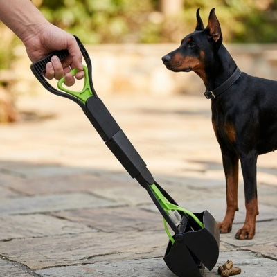 Main tenant un ramasse crotte chien vert et noir sur une terrasse avec un Doberman.