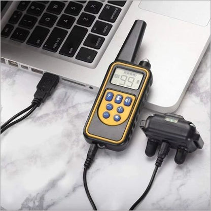 Télécommande et récepteur du collier de dressage chien en charge simultanée via un câble USB branché à un ordinateur portable.