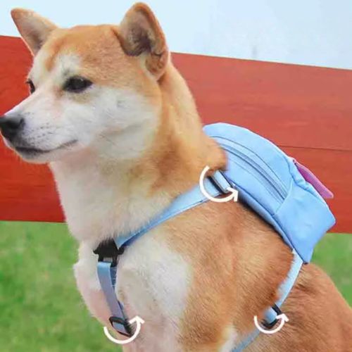 Schéma des points de réglage d'un sac à dos chien bleu sur un Shiba Inu.