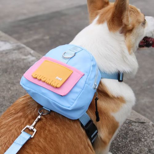Sac à dos chien bleu ciel et rose avec laisse assortie sur un Corgi.