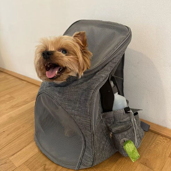  Yorkshire Terrier joyeux sortant la tête d'un sac a dos chien gris avec poche latérale.