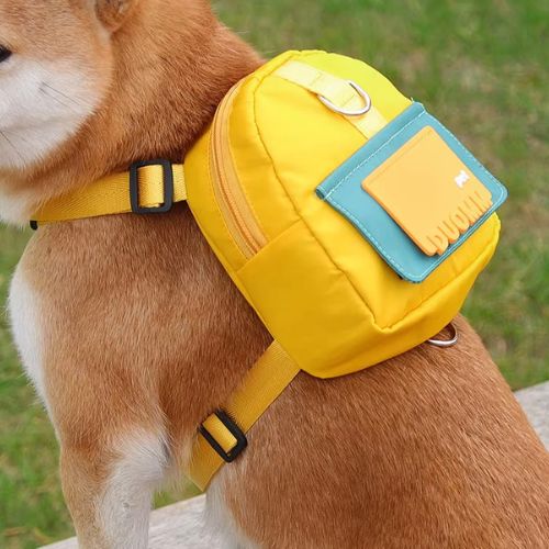 Sac à dos chien jaune avec poche bleue porté par un Shiba Inu de profil.