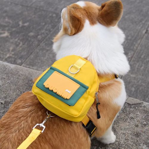 Vue de dessus d'un sac à dos chien jaune avec anneau de laisse sur un Corgi.