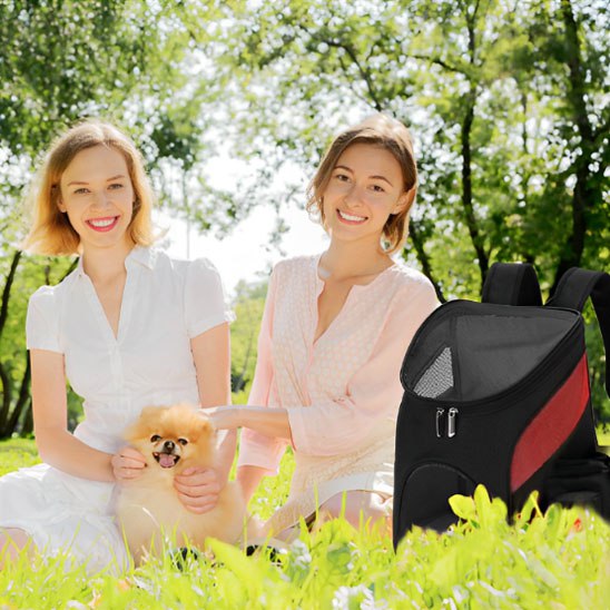 Deux femmes assises dans l'herbe avec un Spitz nain à côté d'un sac a dos chien noir.