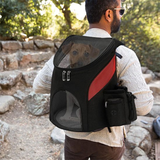 Homme en randonnée portant un sac a dos chien noir et rouge avec un petit chien brun.