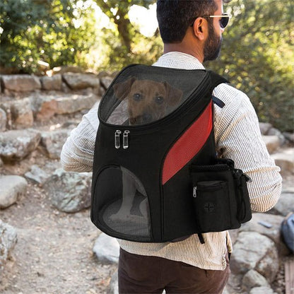 Homme en randonnée portant un sac a dos chien noir et rouge avec un petit chien brun.