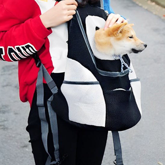 Shiba Inu dans un sac a dos chien noir et blanc porté à l'avant.