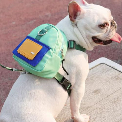 Bouledogue français blanc portant un sac à dos chien vert menthe en extérieur.