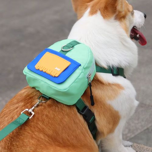 Sac à dos chien vert menthe sur un Corgi, détail logo jaune DUOMM.