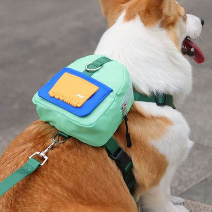Sac à dos chien vert menthe sur un Corgi, détail logo jaune DUOMM.