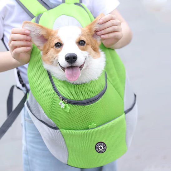 Corgi dans un sac a dos chien vert fluo tenu par les anses, logo Sport visible.