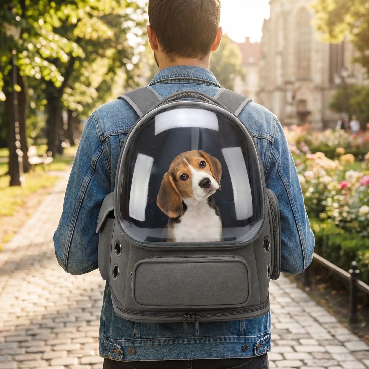 Homme de dos portant un sac à dos pour chien gris contenant un chiot Beagle en ville.