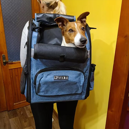 Jack Russell dans un sac a dos pour chien bleu avec logo Petskd porté par une femme.