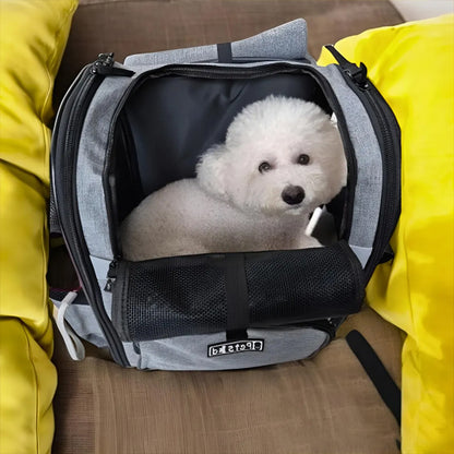 Bichon frisé blanc installé confortablement dans un sac a dos pour chien gris chiné Petskd.