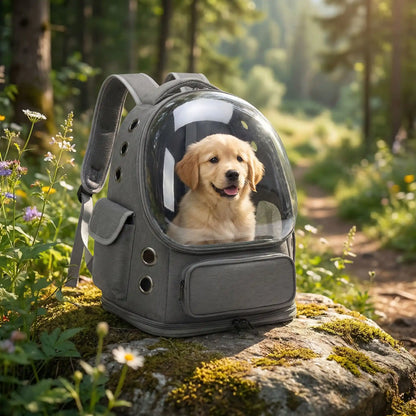 Sac à dos pour chien gris posé sur un rocher en forêt avec un chiot Golden Retriever à l'intérieur.