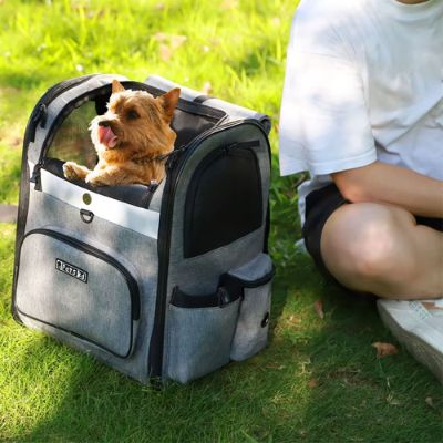 Terrier dans un sac a dos pour chien gris posé sur l'herbe à côté d'une personne assise.
