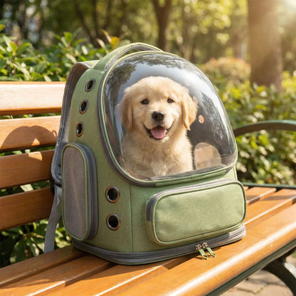 Sac à dos pour chien vert avec bulle transparente contenant un chiot Golden Retriever au parc.