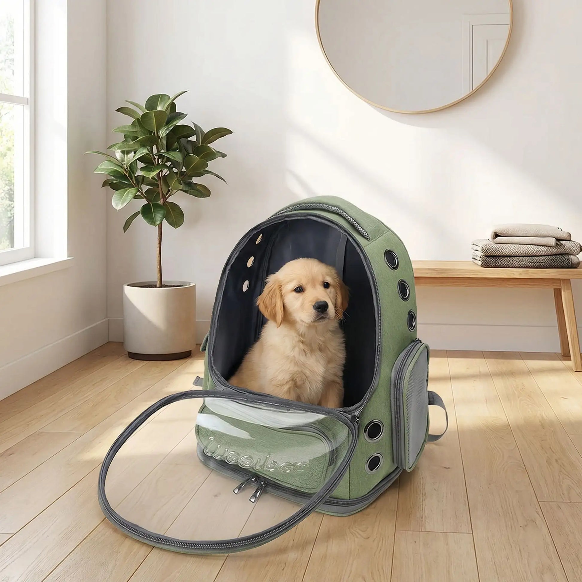 Chiot Golden Retriever assis dans un sac à dos pour chien vert ouvert dans un intérieur moderne.