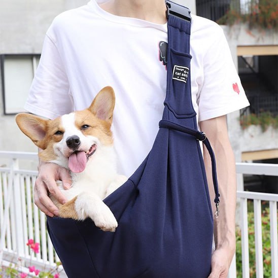 Corgi posant la patte sur un sac de transport chien bleu marine porté à l'épaule.