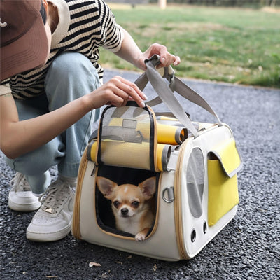 Un chien Chihuahua sort la tête d'un sac de transport chien jaune ouvert dans un parc.