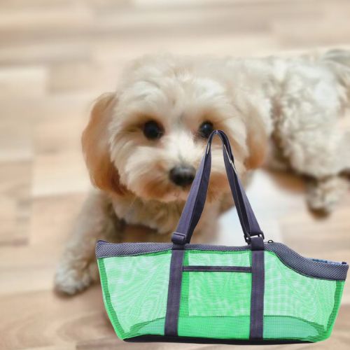Sac de transport chien en maille verte avec un petit caniche abricot en arrière-plan.