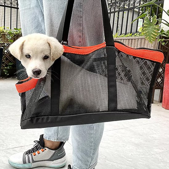 Chiot blanc passant la tête hors d'un sac de transport chien noir et orange porté à l'épaule.