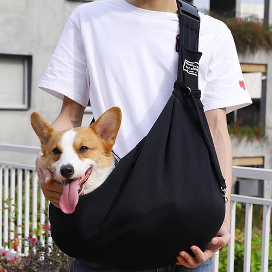 Chien Corgi assis dans un sac de transport chien noir avec boucle de réglage visible.