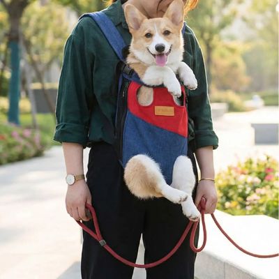Femme portant un corgi dans un sac de transport pour chien lors d’une promenade au parc ensoleillé