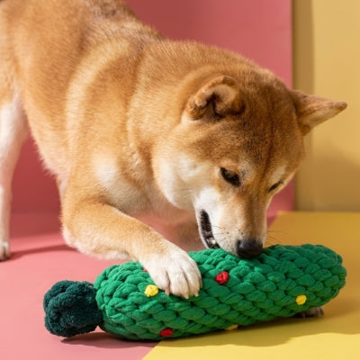 Chien shiba inu mordant un jouet chien en corde en forme de sapin de Noël vert décoré.