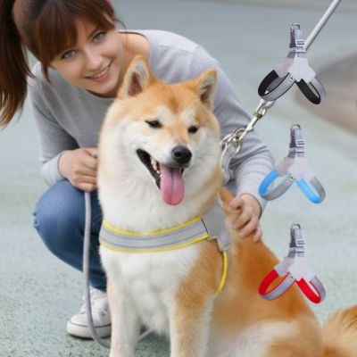 Shiba Inu roux avec son harnais pour chien jaune et trois modèles (noir, bleu, rouge) en insert.