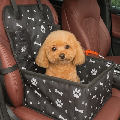 Caniche abricot assis dans son siege auto chien à motifs sur un siège de voiture en cuir rouge.