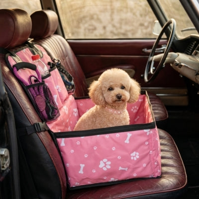 Caniche toy beige dans un siege auto chien rose posé sur un siège en cuir marron.