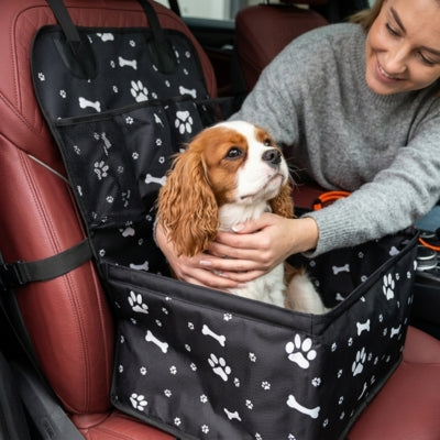 Femme installant un Cavalier King Charles dans son siege auto chien à motifs pattes.