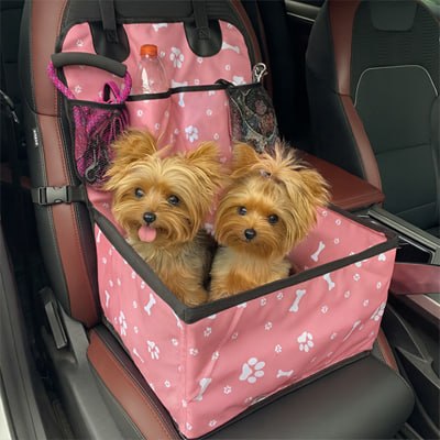 Deux petits chiens Yorkshire Terriers partageant un même siege auto chien rose à motifs.