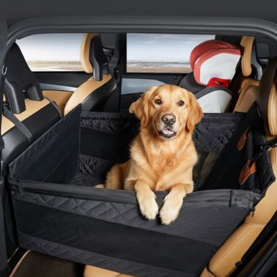 Siege auto chien noir accueillant un Golden Retriever devant un siège enfant.