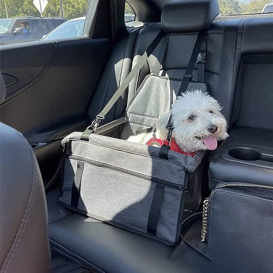 Bichon blanc souriant dans un siege auto chien gris sur la banquette arrière d'une voiture.