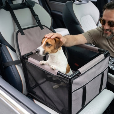 Chien Jack Russell debout dans un siege auto chien gris, main d'homme le caressant.