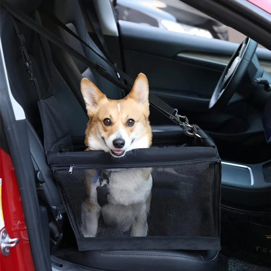 Corgi curieux dans un siege auto chien noir fixé au siège passager avant d'un véhicule.