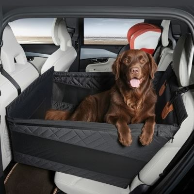 Siege auto chien noir sur sièges blancs avec un Labrador chocolat qui pose ses pattes.