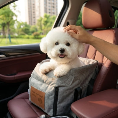 Bichon frisé blanc dans un siege auto chiens gris, écusson "Good morning! lovely...".