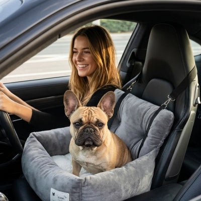 Bouledogue français dans un siege auto chiens gris, une femme sourit au volant.