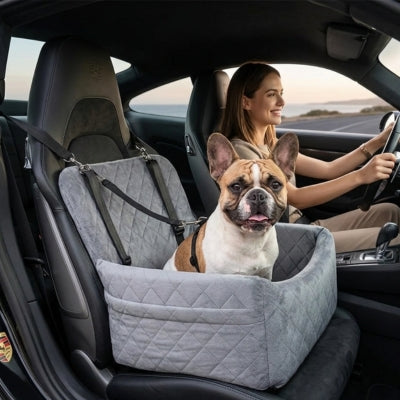 Bouledogue français assis dans un siege auto chiens gris clair, femme au volant d'une Porsche.